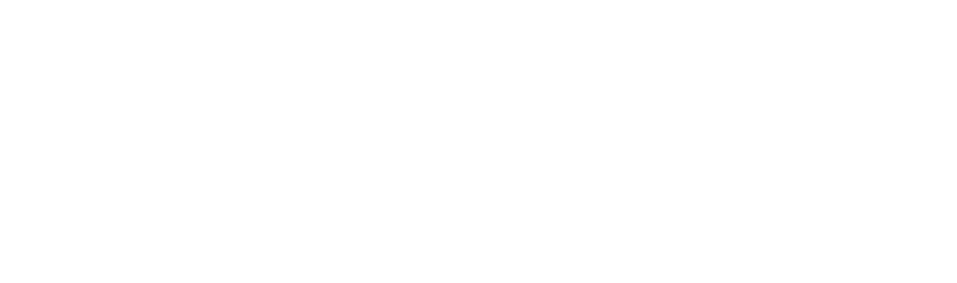 SKYSYSS LLC